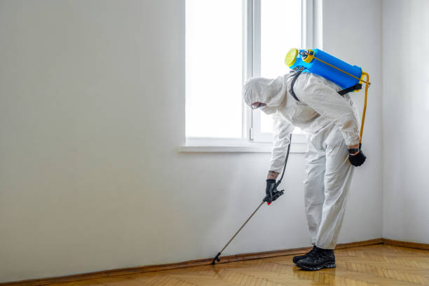 Professional Pest Control in Woodlawn, OH